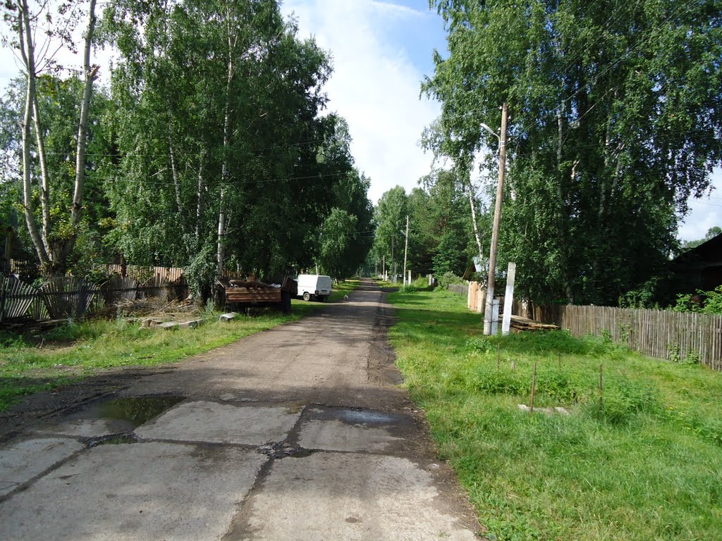 Фотографии.